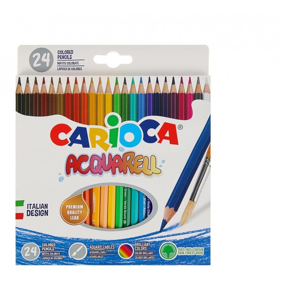 Carioca 42858 pastello colorato Multicolore 24 pz cod. 42858