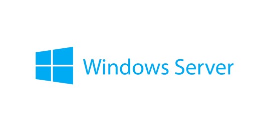 Lenovo Windows Server 2019 Client Access License (CAL) 10 licenza/e cod. 7S050028WW