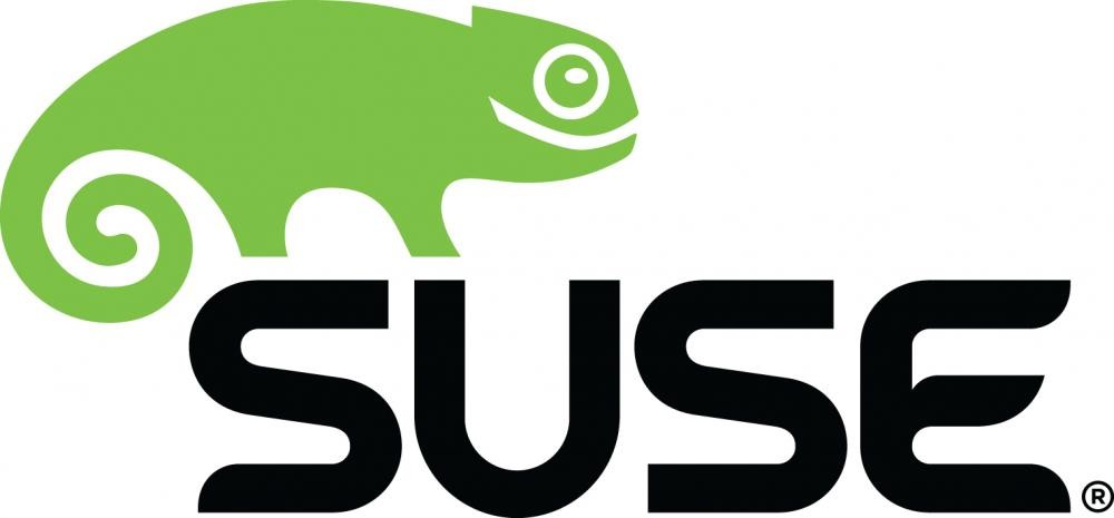 Suse Linux Enterprise Desktop, 1Y Client Access License (CAL) 1 licenza/e 1 anno/i cod. 874-006868