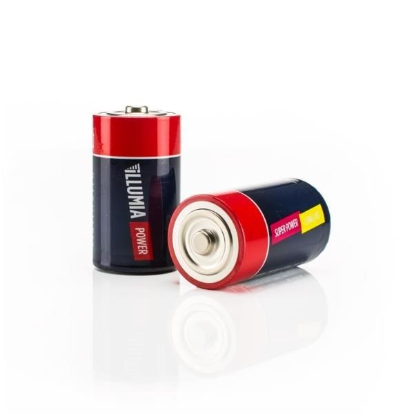 Nilox ALKALR20D00001 batteria per uso domestico Batteria ricaricabile D Alcalino cod. ALKALR20D00001