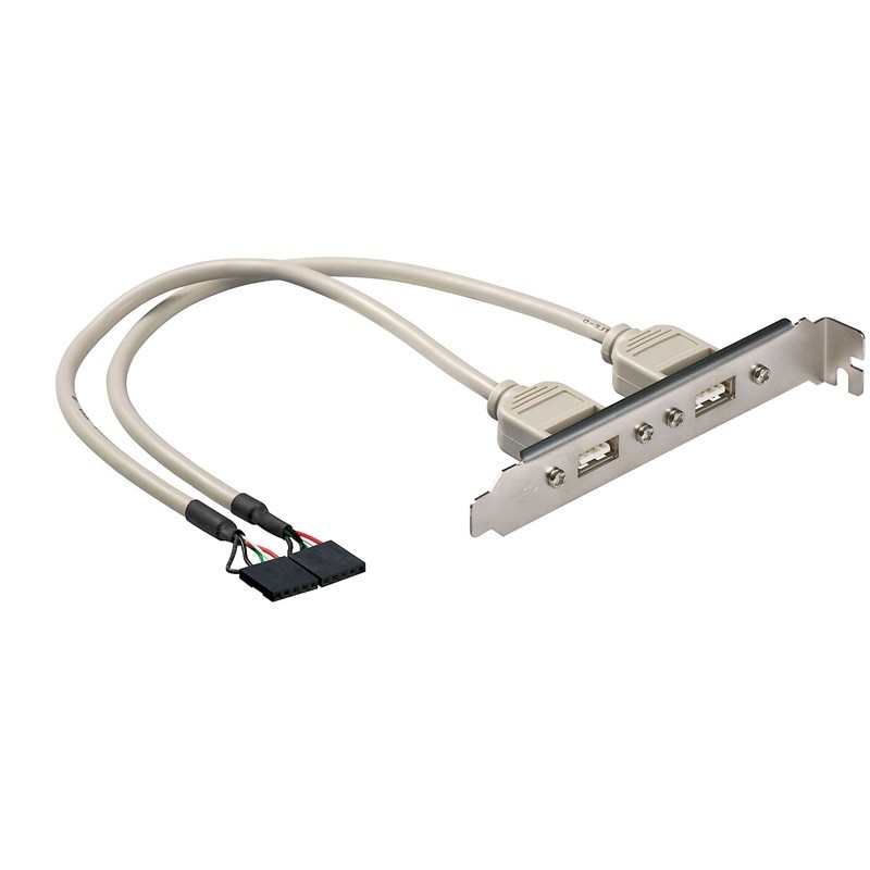 Manhattan Cavetto Slot USB 2.0 2x 5pin - ICOC SLOT-USB