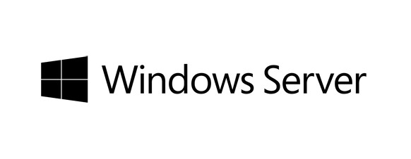 HPE Microsoft Windows Server Datacenter 2019 - P11061-061