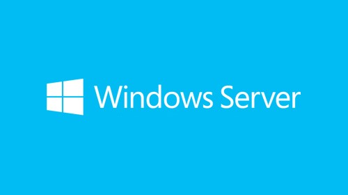 Microsoft Windows Server 2019 Client Access License (CAL) 1 licenza/e cod. R18-05814