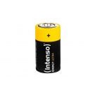 Intenso 7501432 batteria per uso domestico Batteria monouso C Alcalino cod. 7501432