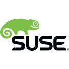 Suse Linux Enterprise Desktop, 1Y Client Access License (CAL) 1 licenza/e 1 anno/i cod. 874-006868