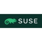 Suse Linux Enterprise Server Abbonamento 1 anno/i 12 mese(i) cod. 874-007652