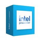 Intel 300 processore 6 MB Cache intelligente Scatola cod. BX80715300
