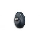 Kensington Pro Fit Ergo TB550 mouse Mano destra RF senza fili + Bluetooth Trackball 1600 DPI cod. K72196WW
