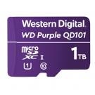 Western Digital WDD100T1P0C - WDD100T1P0C