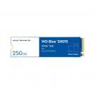 Western Digital WD SSD Blue SN570 250GB PCIe Gen3 NVMe - WDS250G3B0C