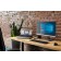 HP USB Fingerprint Mouse