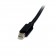 StarTech.com Cavo Mini DisplayPort 1.2 - DisplayPort 4k da 2m M/M cod. MDISP2M