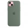 Apple iPhone 15 Plus Silicone Case with MagSafe - Cypress