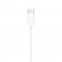 Apple AURICOLARI EARPODS APPLE USB-C PER IPHONE