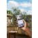 TCL Smartphone TCL TCL40NXTOPALE 256 GB 8 GB RAM