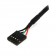 StarTech.com Cable Interno de 18 pulgadas al USB IDC de 5 pines del Cabezal de la Placa Base  â?? H/H - USBINT5PIN